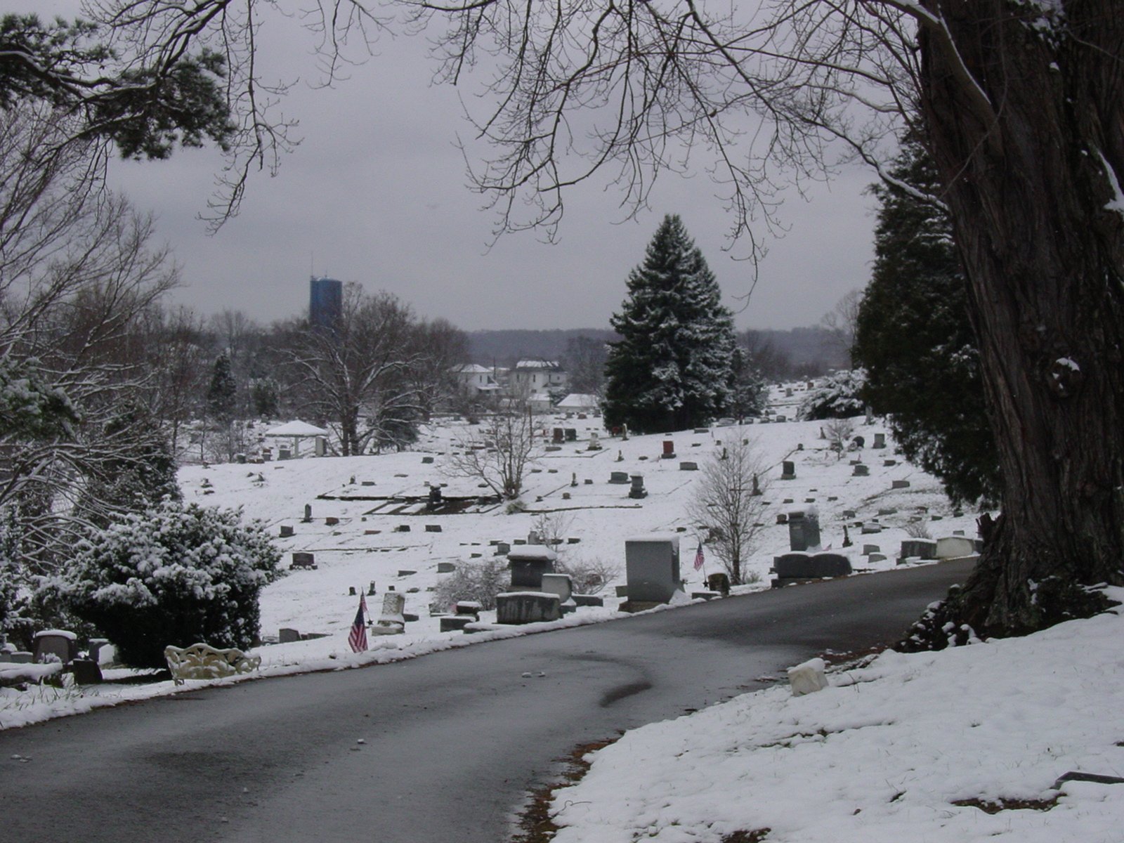 Curving cemetery road in snowy Ridgewood Cemetery