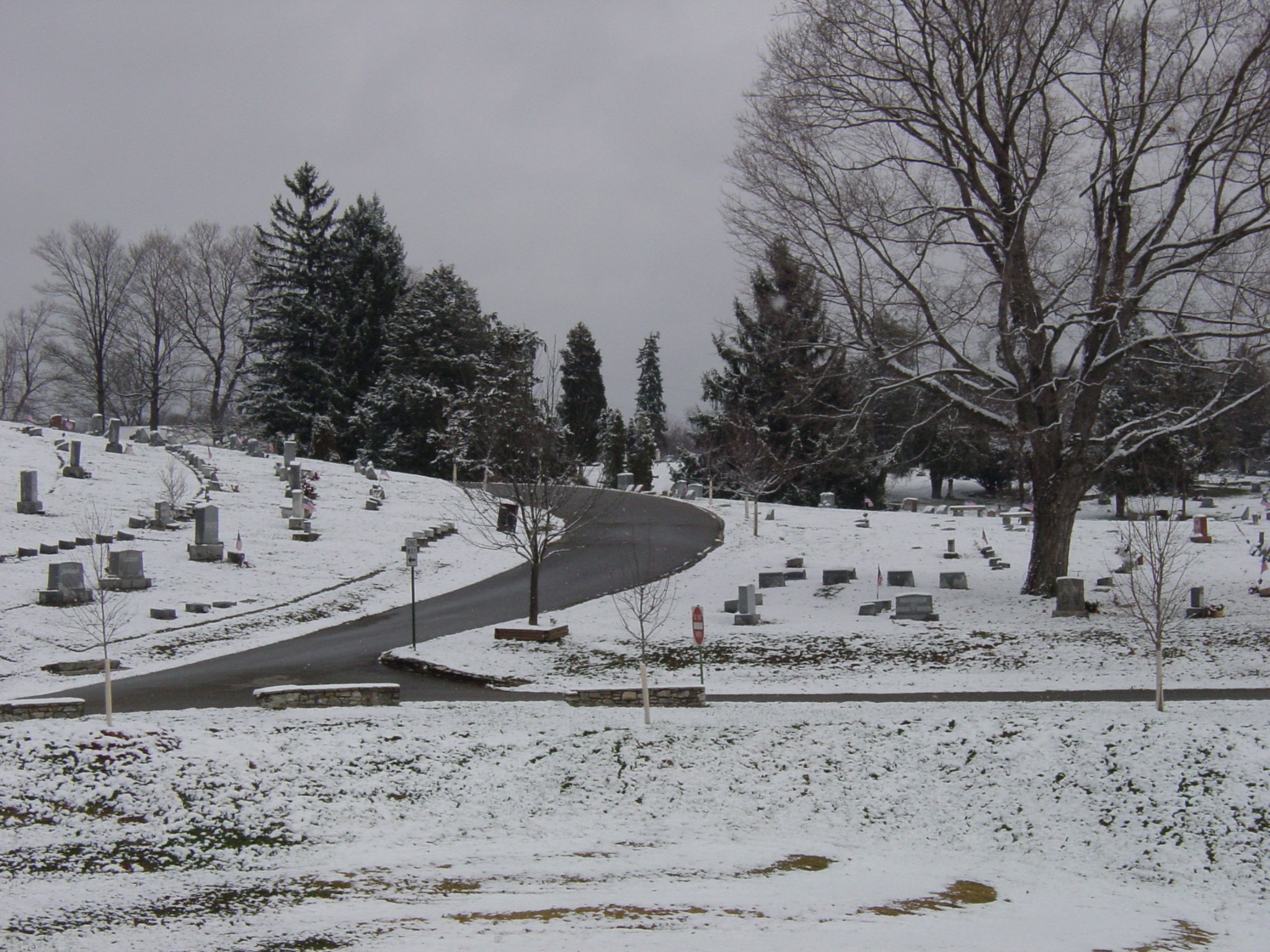 Snow-covered Ridgewood Cemetery road