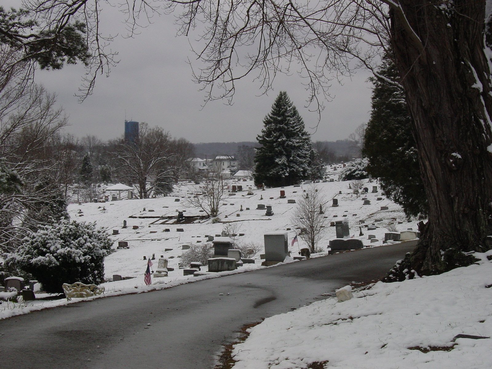Snowy Ridgewood Cemetery slope and woods